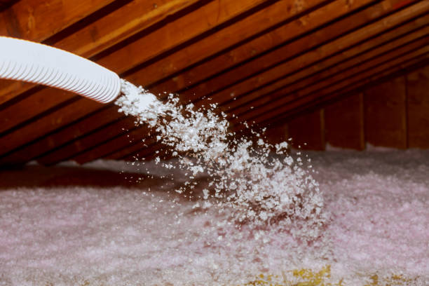 Best Insulation Repair Services  in Decatur, TX