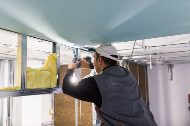 Best Local Insulation Services  in Decatur, TX