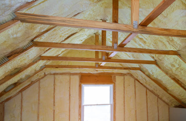 Best Residential Insulation Services  in Decatur, TX