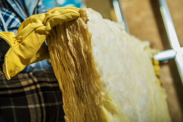 Best Insulation Removal  in Decatur, TX