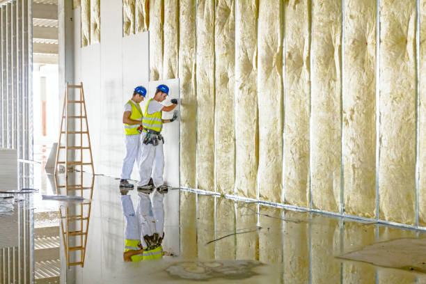 Best Garage Insulation Installation  in Decatur, TX